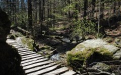 Víkend v Čechách: Prechádzka k Rešovským vodopádom, relax v záhrade či rozprávková sála 