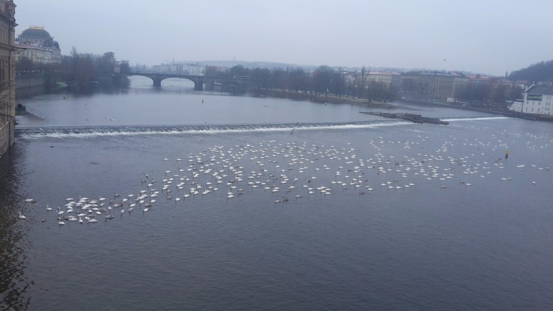 Rozmýšľaš nad novoročným výletom? Čo tak Praha?